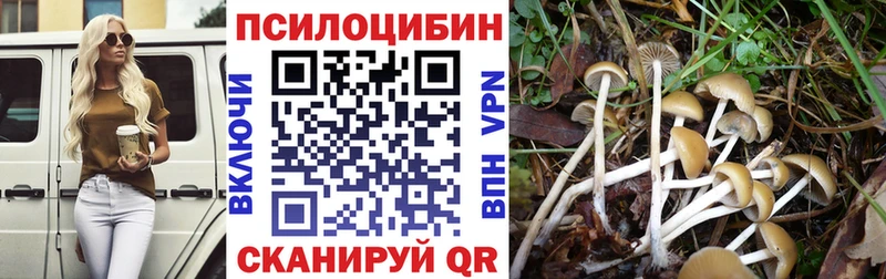 Псилоцибиновые грибы мицелий  Кулебаки 